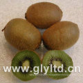Export Quality Fresh Green Kiwi Fruit